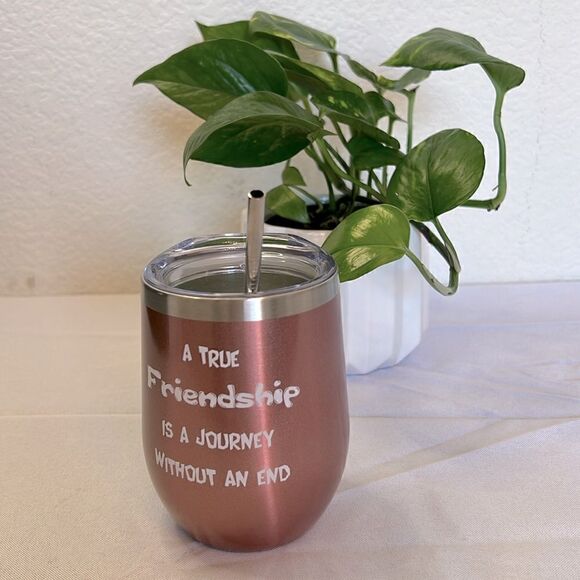 Insulated Tumbler with Lid & Straw - True Friendship is a Journey Without an End - Picture 1 of 3